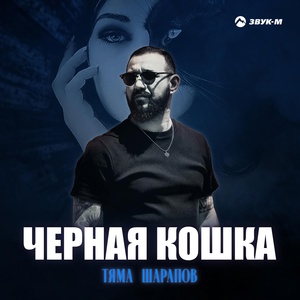 Тяма Шарапов - Чёрная кошка