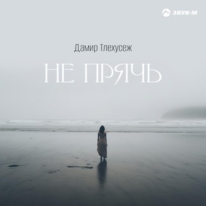 Дамир Тлехусеж - Не прячь